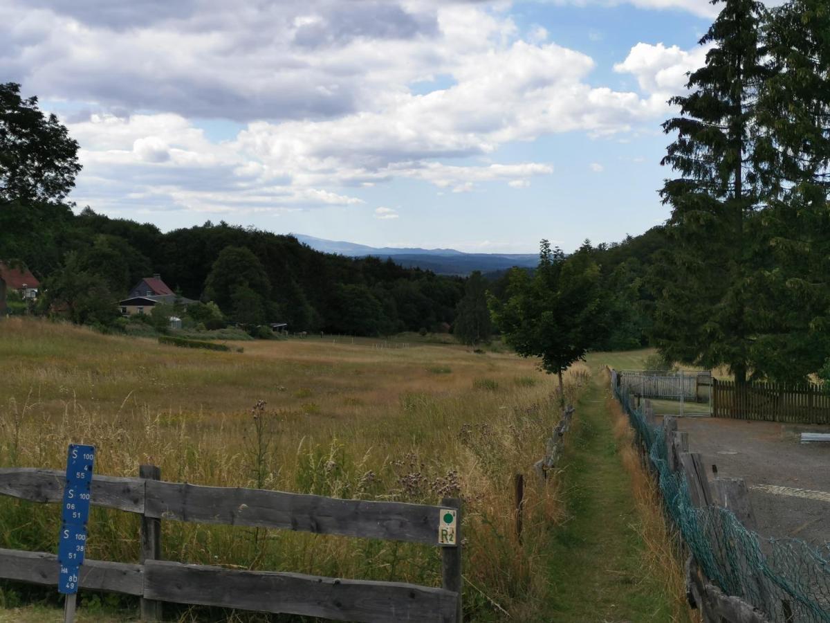 Ferienhaus Natur Pur Lejlighed Thale Eksteriør billede