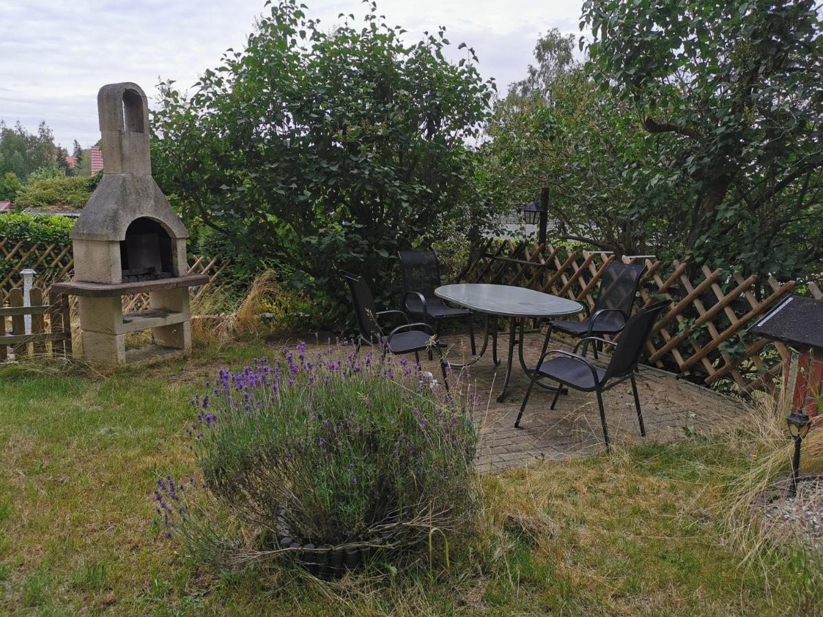 Ferienhaus Natur Pur Lejlighed Thale Eksteriør billede