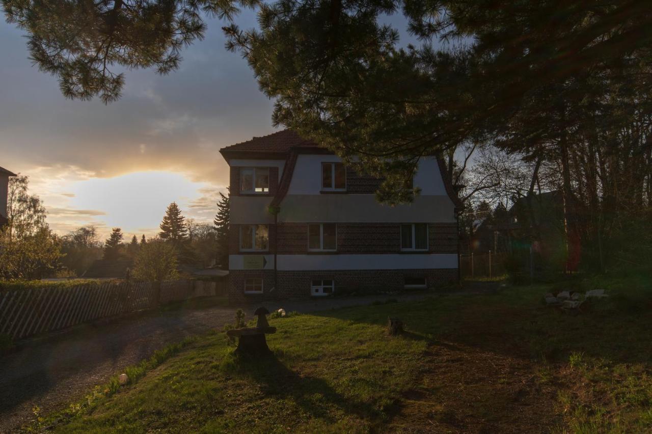Ferienhaus Natur Pur Lejlighed Thale Eksteriør billede